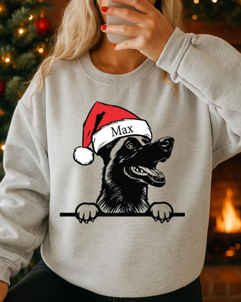 Custom Santa Hat Dog with Personalization