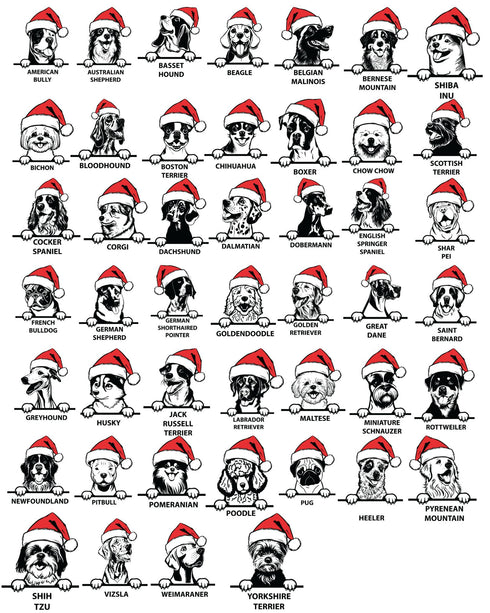 Custom Santa Hat Dog with Personalization