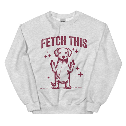 Fetch This Funny Dog Sweatshirt