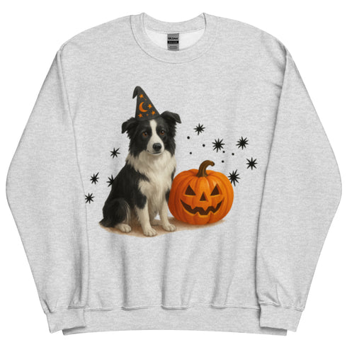 Border Collie Halloween Witchy Dogs Sweatshirt