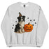 Border Collie Halloween Witchy Dogs Sweatshirt