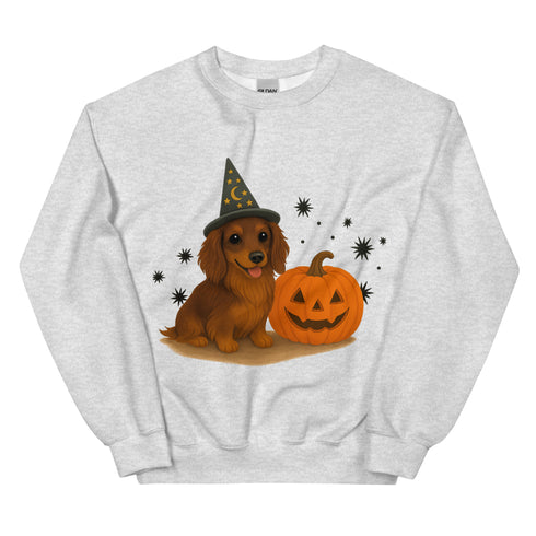 Brown Long Haired Dachshund Halloween Witchy Dogs Sweatshirt