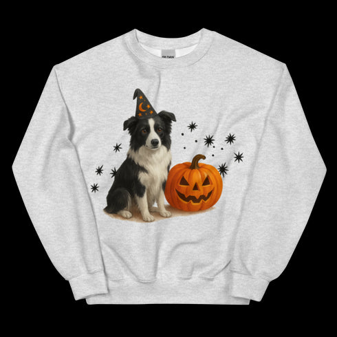 Border Collie Halloween Witchy Dogs Sweatshirt