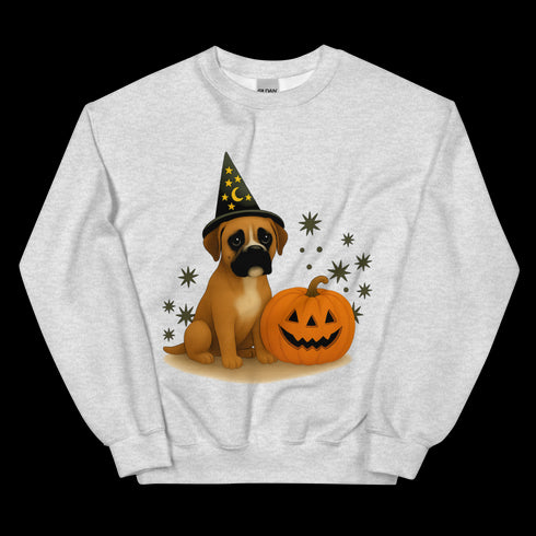 Boxer Halloween Witchy Dogs Sweatshirt