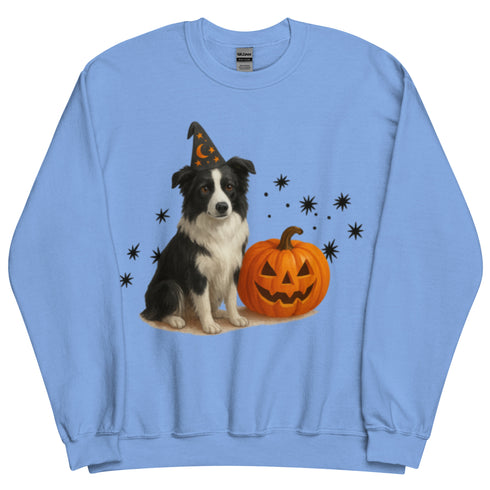 Border Collie Halloween Witchy Dogs Sweatshirt