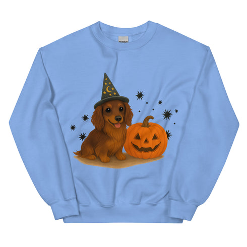 Brown Long Haired Dachshund Halloween Witchy Dogs Sweatshirt