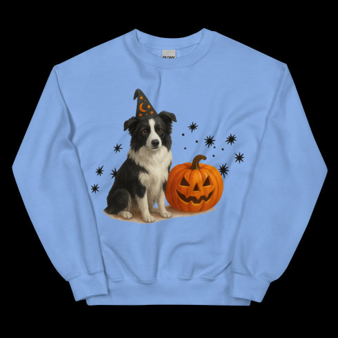 Border Collie Halloween Witchy Dogs Sweatshirt