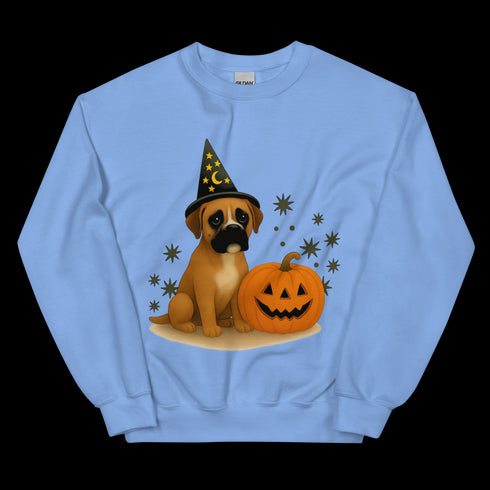 Boxer Halloween Witchy Dogs Sweatshirt