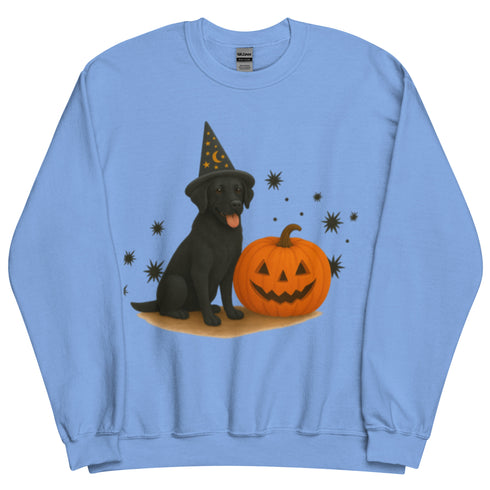 Black Lab Halloween Witchy Dogs Sweatshirt
