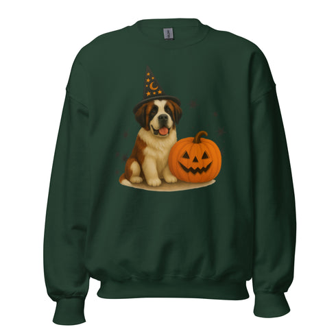 St. Bernard Witchy Dog Sweatshirt