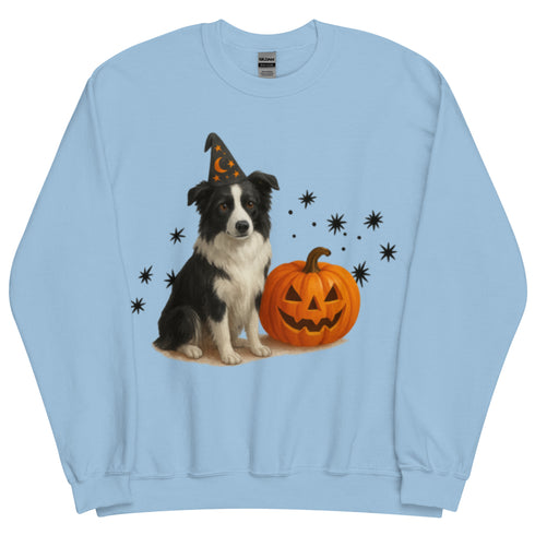 Border Collie Halloween Witchy Dogs Sweatshirt