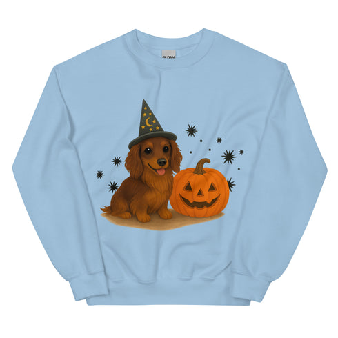 Brown Long Haired Dachshund Halloween Witchy Dogs Sweatshirt