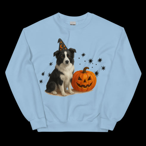 Border Collie Halloween Witchy Dogs Sweatshirt