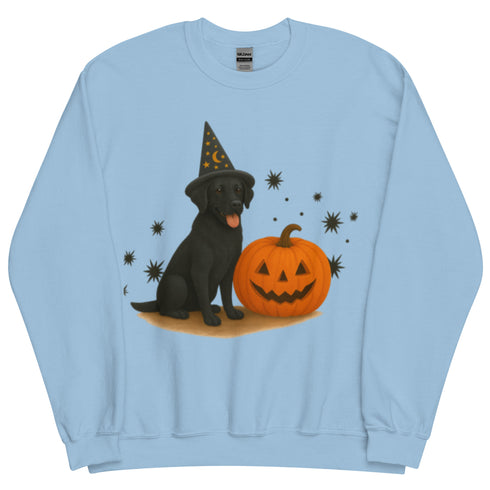 Black Lab Halloween Witchy Dogs Sweatshirt