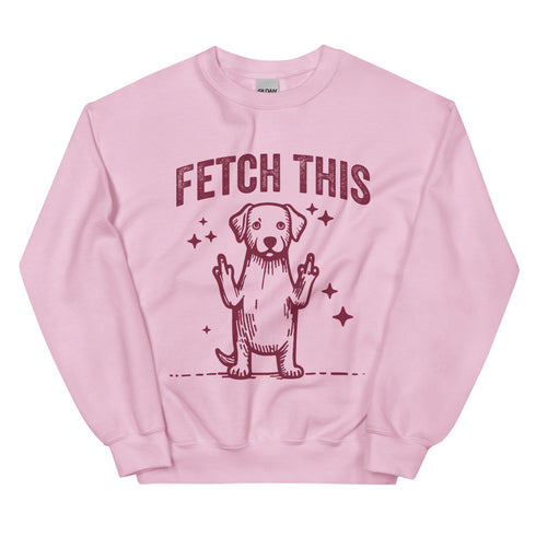 Fetch This Funny Dog Sweatshirt