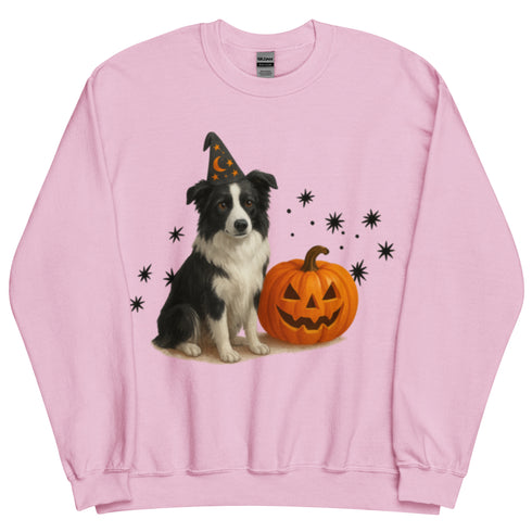 Border Collie Halloween Witchy Dogs Sweatshirt