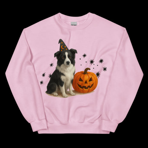 Border Collie Halloween Witchy Dogs Sweatshirt