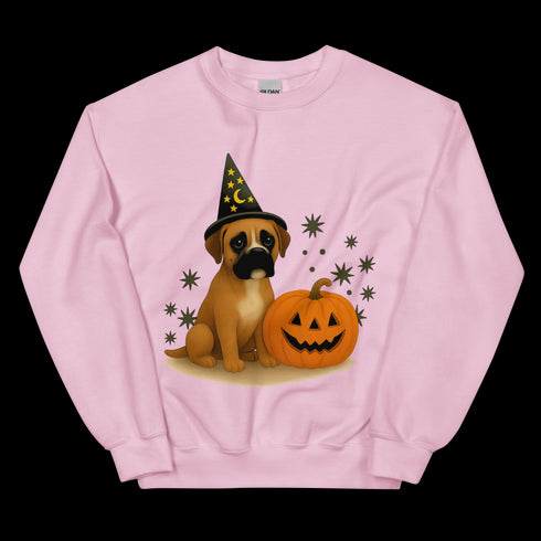 Boxer Halloween Witchy Dogs Sweatshirt