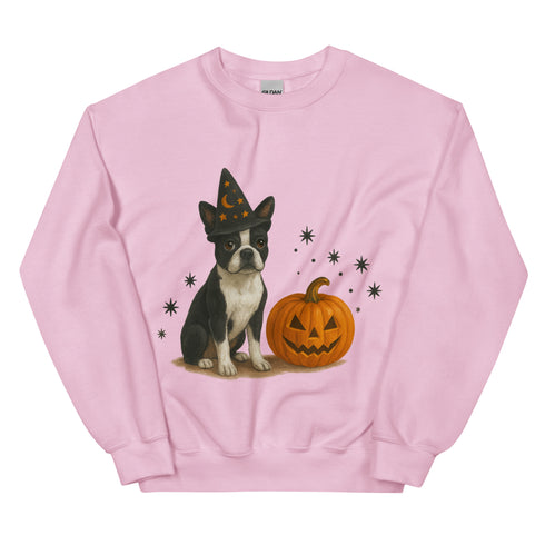 Boston Terrier Halloween Witchy Dogs Sweatshirt