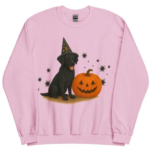 Black Lab Halloween Witchy Dogs Sweatshirt