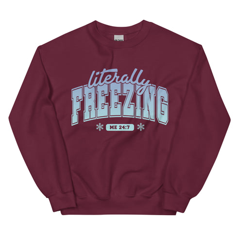 Literally Freezing Sweatshirt