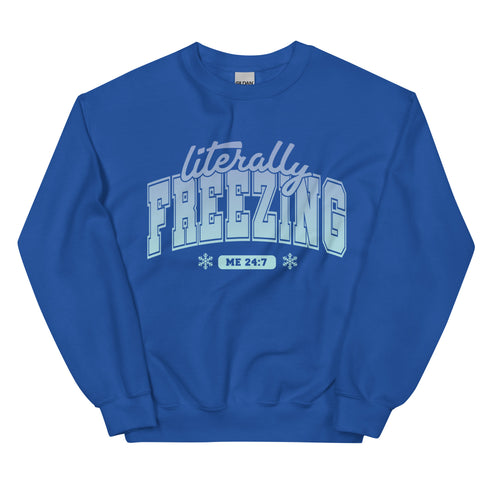 Literally Freezing Sweatshirt