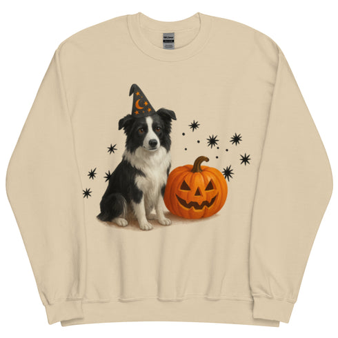 Border Collie Halloween Witchy Dogs Sweatshirt