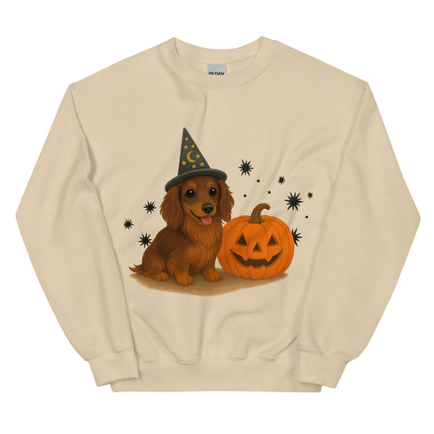 Brown Long Haired Dachshund Halloween Witchy Dogs Sweatshirt