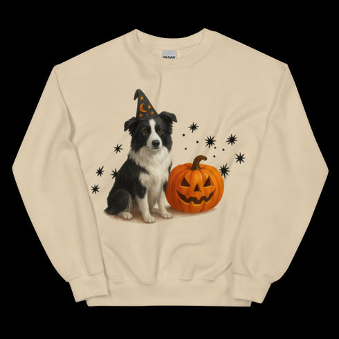Border Collie Halloween Witchy Dogs Sweatshirt