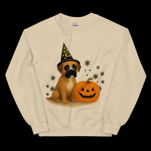 Boxer Halloween Witchy Dogs Sweatshirt
