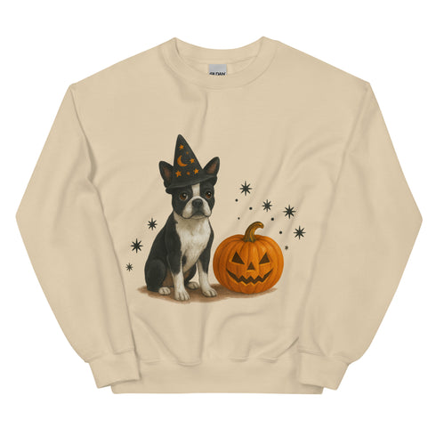 Boston Terrier Halloween Witchy Dogs Sweatshirt