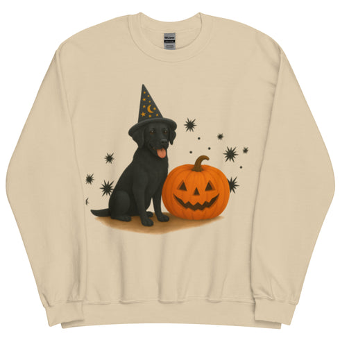 Black Lab Halloween Witchy Dogs Sweatshirt