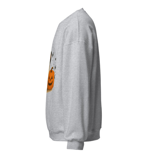 St. Bernard Witchy Dog Sweatshirt