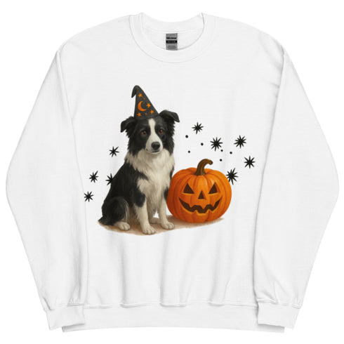 Border Collie Halloween Witchy Dogs Sweatshirt
