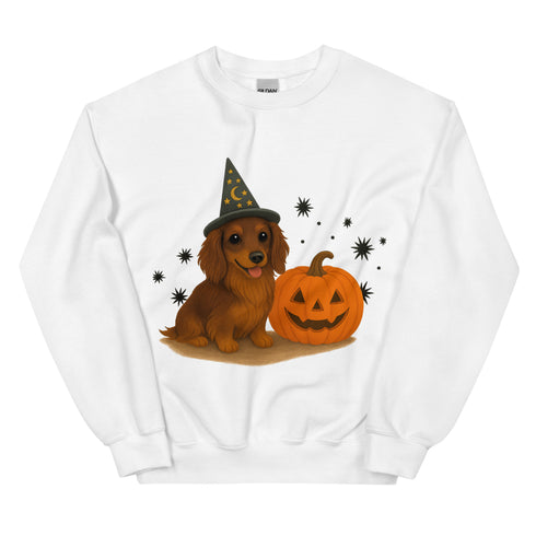 Brown Long Haired Dachshund Halloween Witchy Dogs Sweatshirt