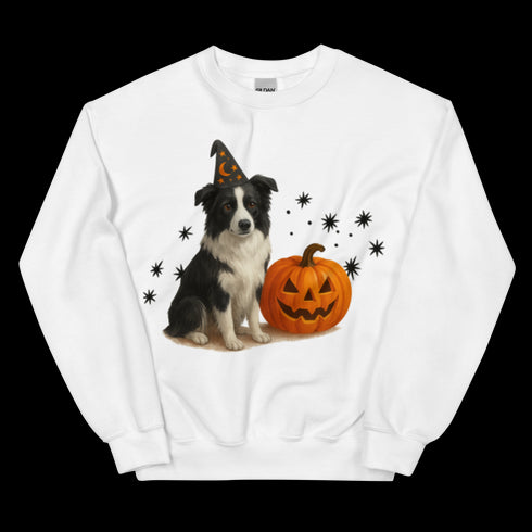 Border Collie Halloween Witchy Dogs Sweatshirt
