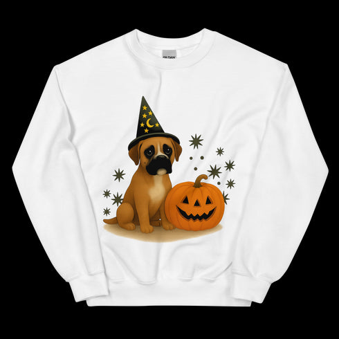 Boxer Halloween Witchy Dogs Sweatshirt