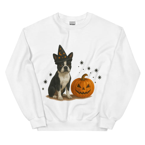 Boston Terrier Halloween Witchy Dogs Sweatshirt