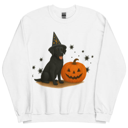 Black Lab Halloween Witchy Dogs Sweatshirt