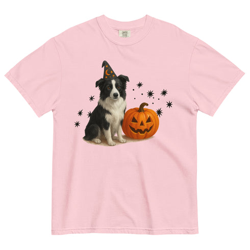 Border Collie Halloween Witchy Dogs Shirt