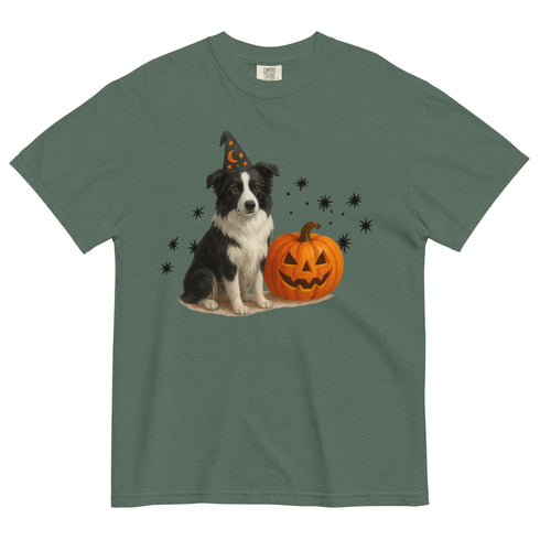 Border Collie Halloween Witchy Dogs Shirt