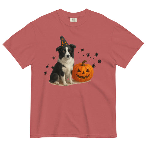 Border Collie Halloween Witchy Dogs Shirt