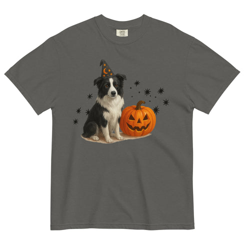 Border Collie Halloween Witchy Dogs Shirt