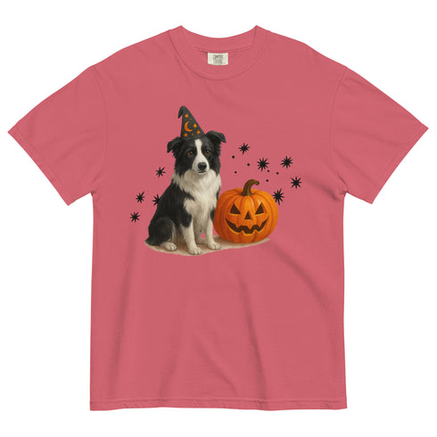 Border Collie Halloween Witchy Dogs Shirt