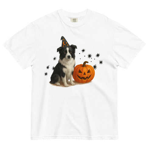 Border Collie Halloween Witchy Dogs Shirt